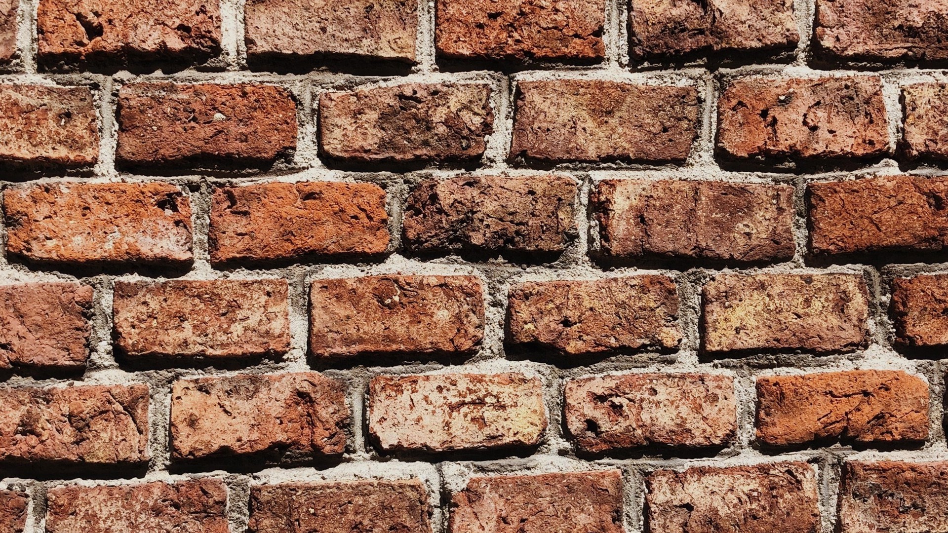 Væg mur